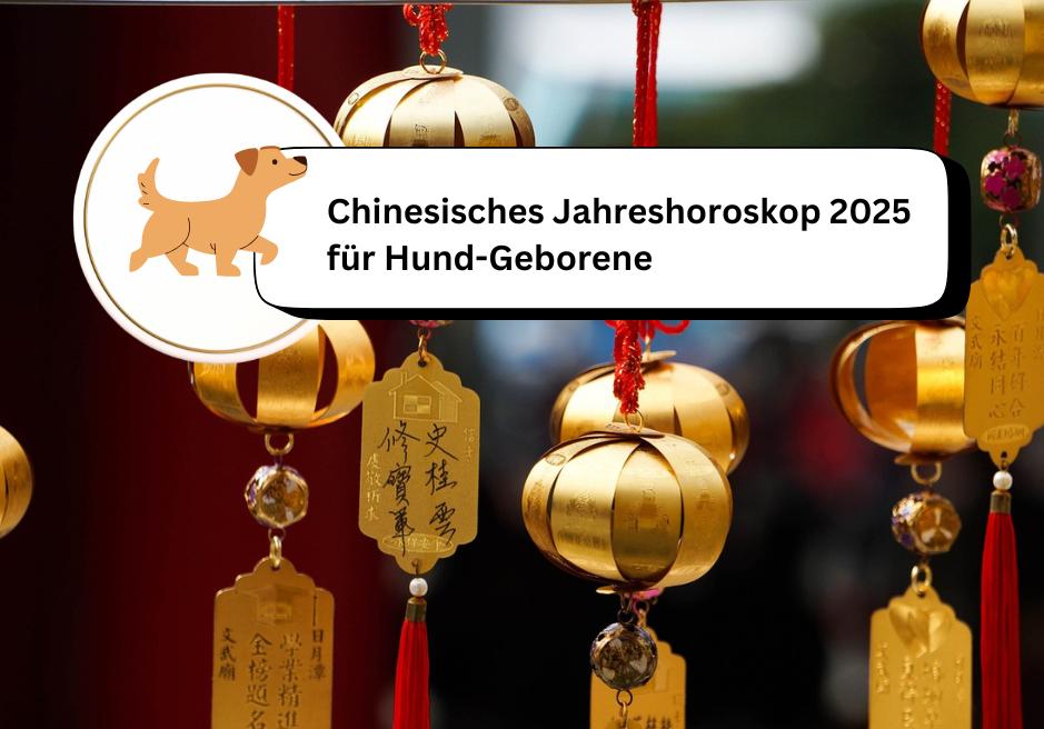 chinesisches Jahreshoroskop 2025