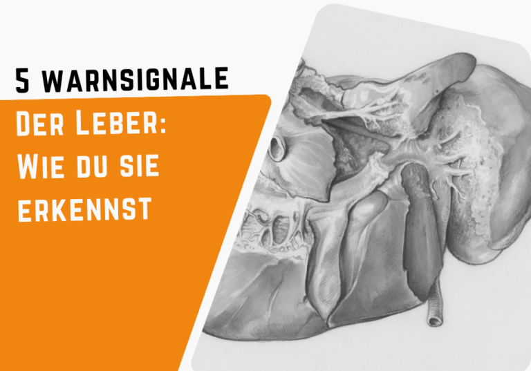 5 Warnsignale der Leber: Wie du sie erkennst