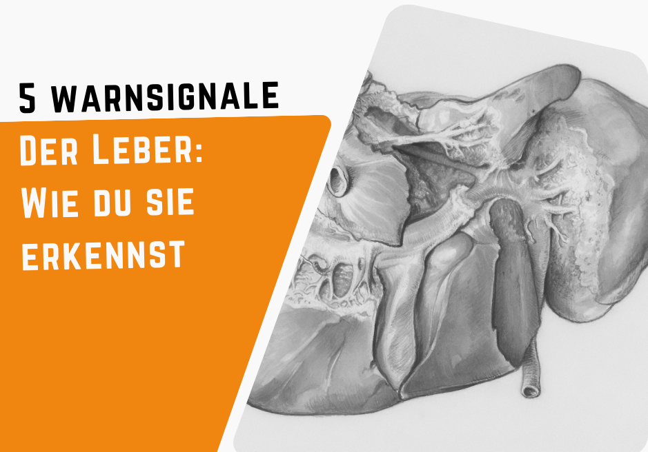 5 Warnsignale der Leber: Wie du sie erkennst