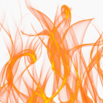 tcm element feuer typ