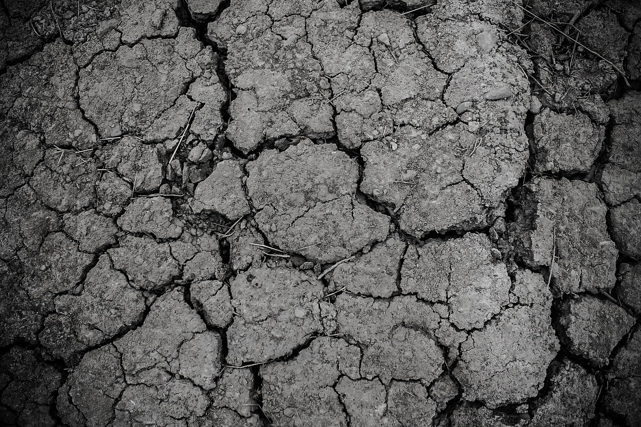 ground, gray, dirt