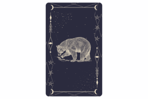 lenormand bär kombinationen