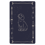 lenormand hund kombinationen