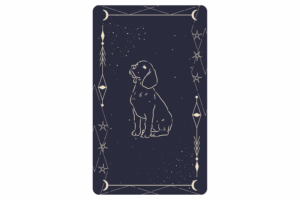 lenormand hund kombinationen