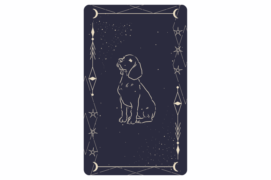 lenormand hund kombinationen