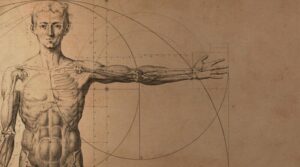 Anatomie Ray Peat