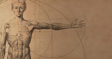 Anatomie Ray Peat
