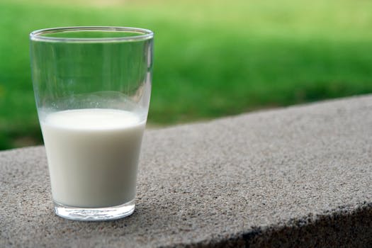 Acidophilus-Milch: Ein gesundes Naturprodukt für die Darmflora