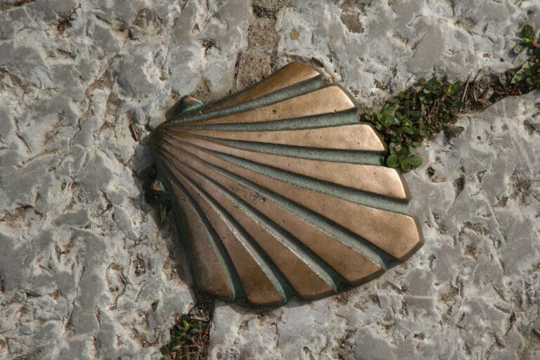 spain, jakobsweg, scallop, jakobsweg, jakobsweg, jakobsweg, jakobsweg, jakobsweg, scallop, scallop