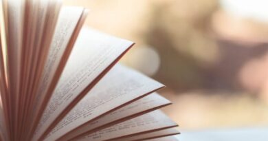 Close-up view of an open book with pages fanned out against a soft blurred background.