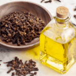 nelke wirkung auf psyche