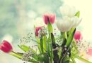 Liebe Sonntagsgrüße Bilder kostenlos