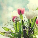 Liebe Sonntagsgrüße Bilder kostenlos