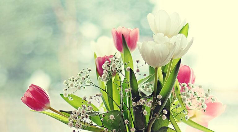 Liebe Sonntagsgrüße Bilder kostenlos