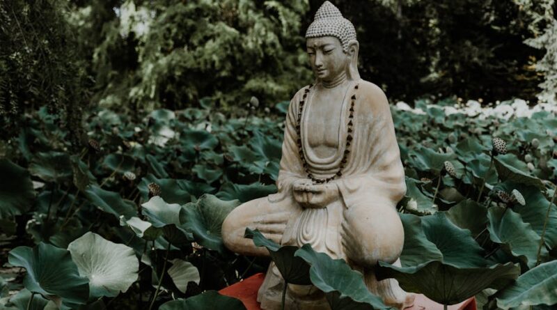 buddha zitate
