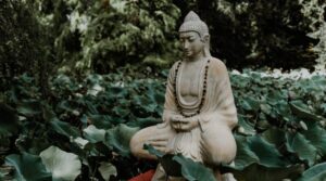 buddha zitate
