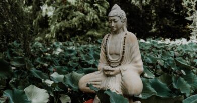 buddha zitate