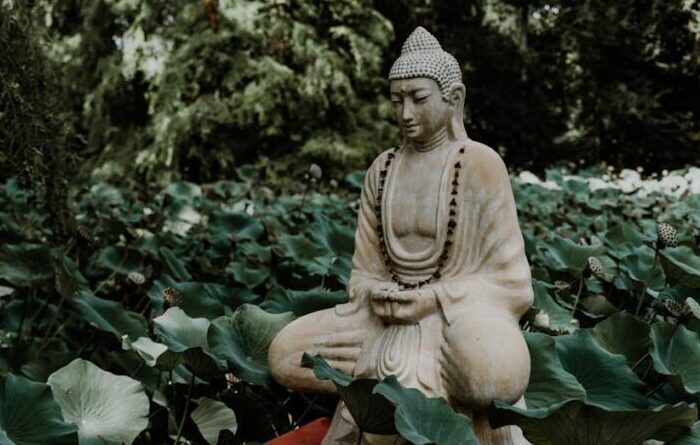 buddha zitate