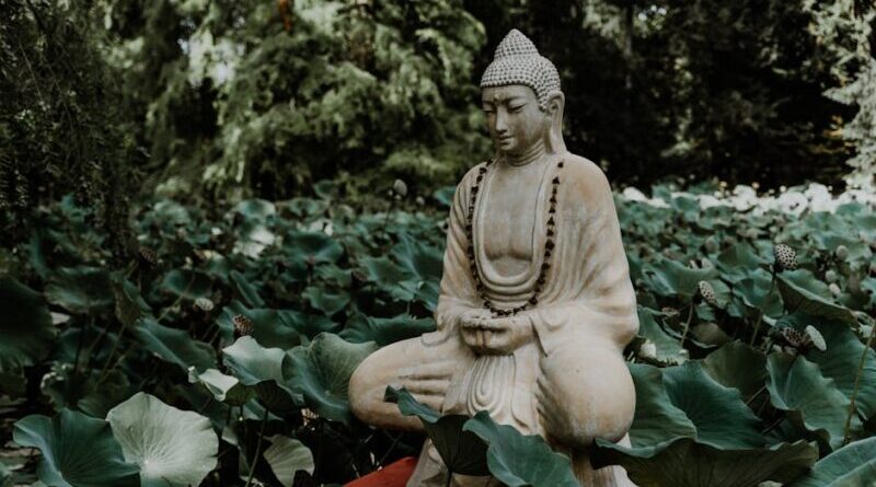 buddha zitate
