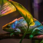 Ominvertiert – Die fließende Persönlichkeit und das Charakter-Chamäleon