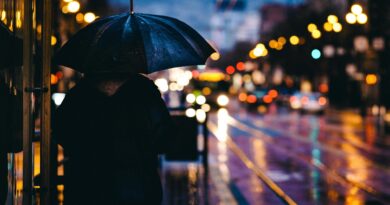 Pluviophil – Wer den Regen liebt