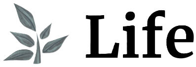 Forum der Gesundheit